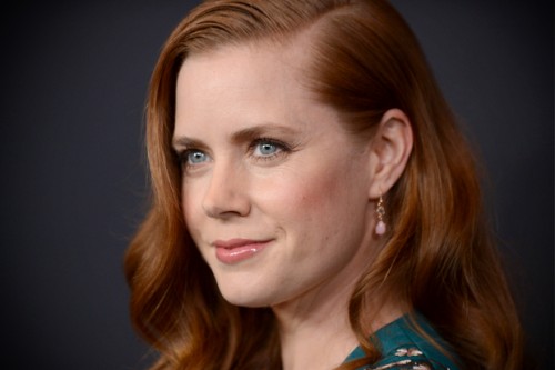 Facts You didn't Know About Amy Adams